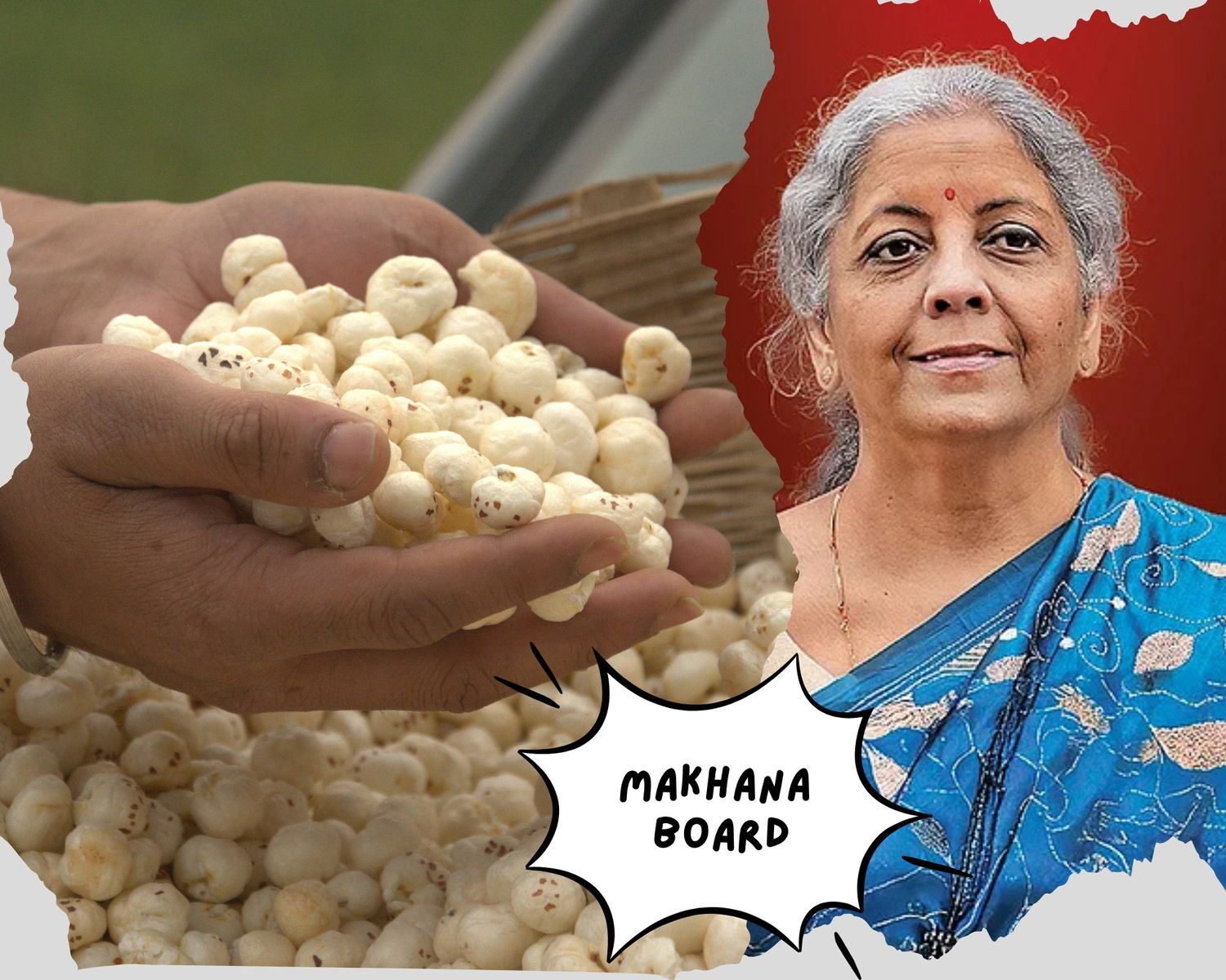 Makhana industry and farmer network in Bihar