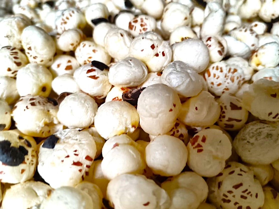 Classic salted roasted makhana