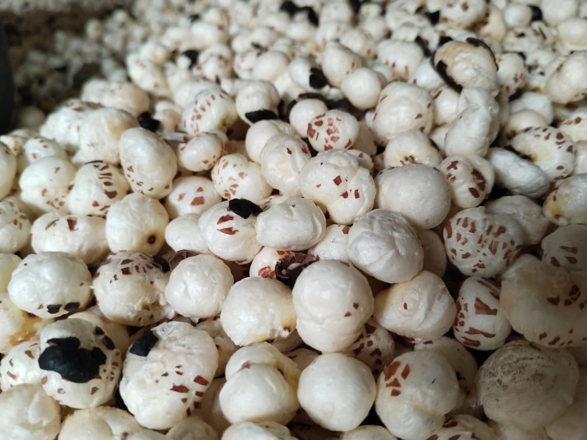 Healthy makhana snack market in the UAE