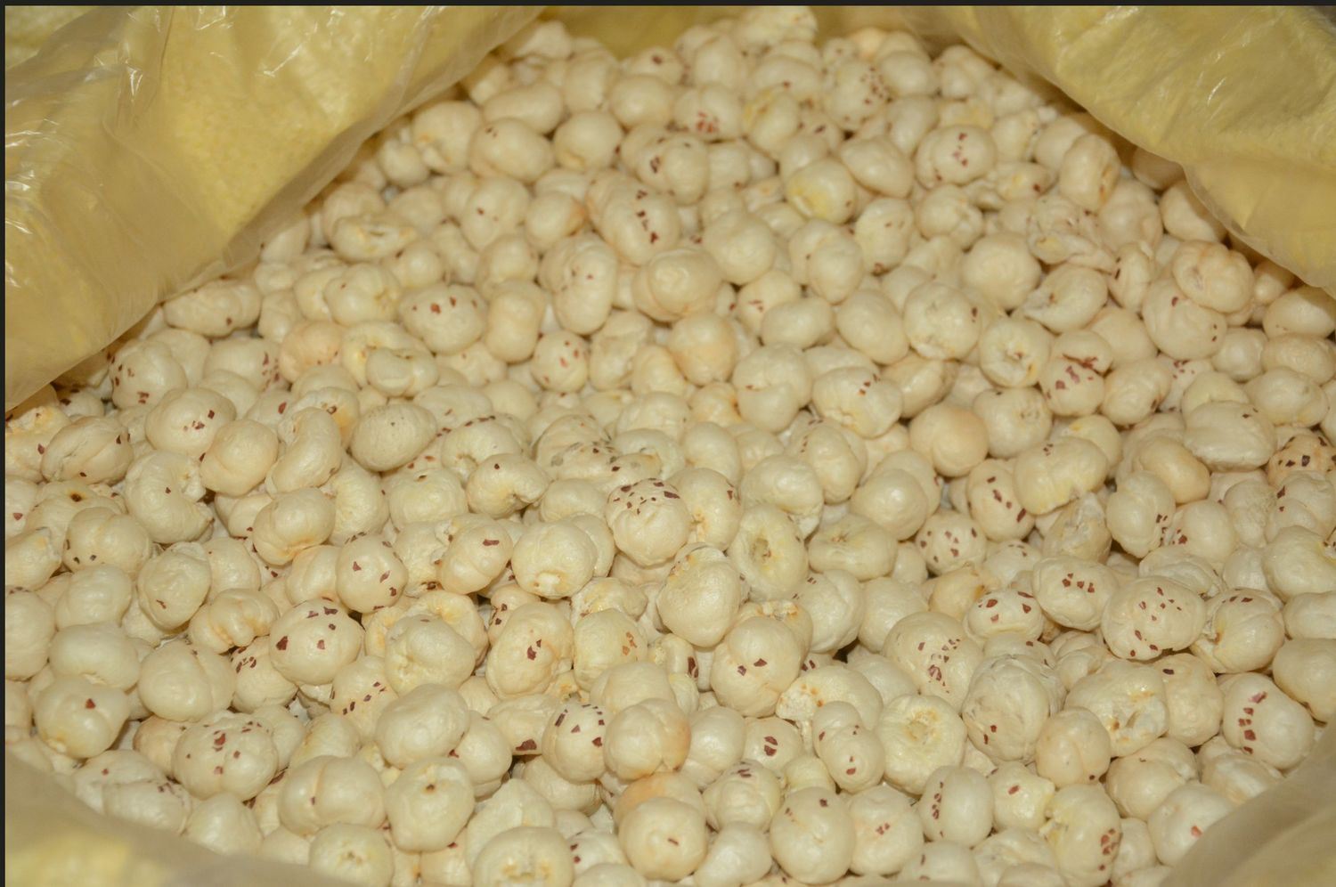 Plain raw makhana for UAE wholesale buyers