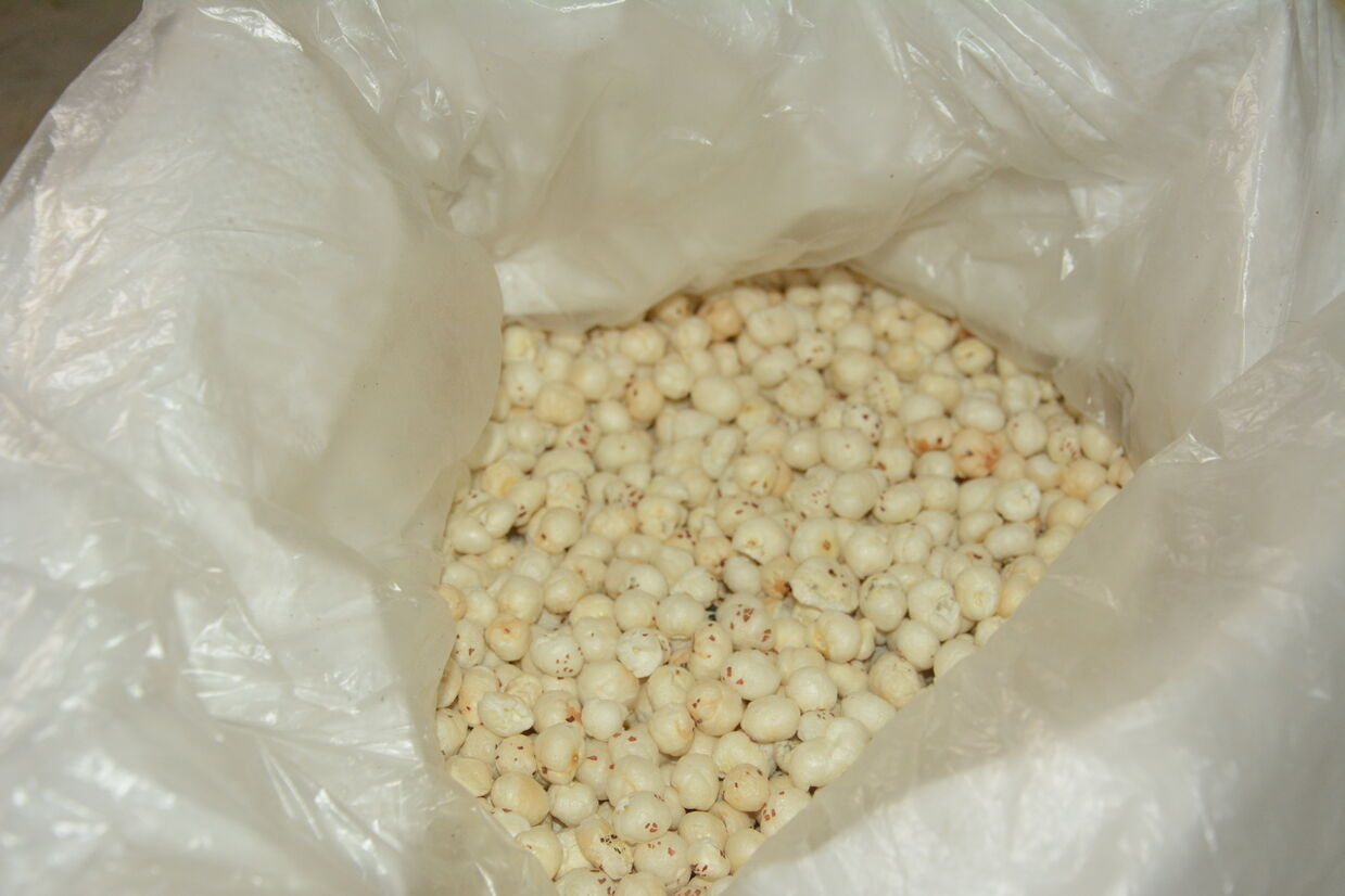 Makhana Quality Check