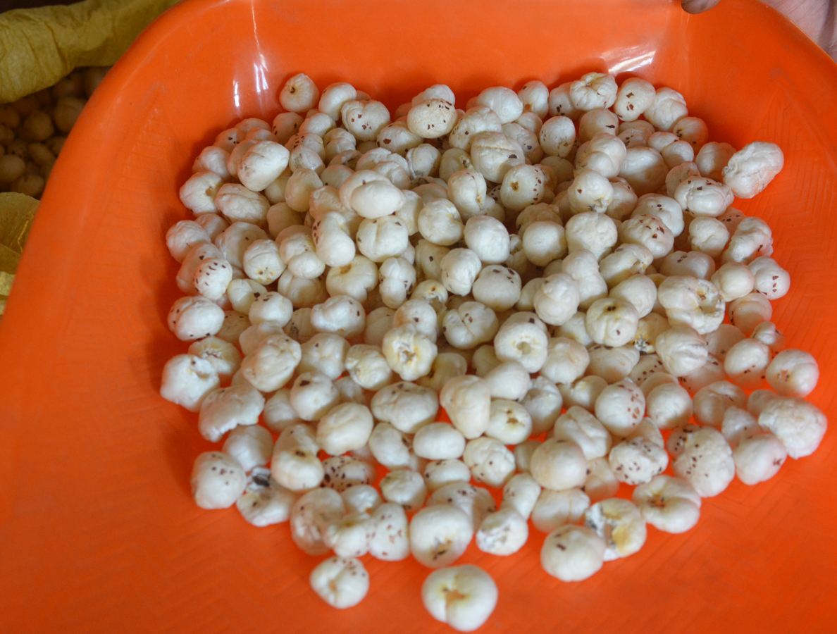 Makhana processing & product gallery 4